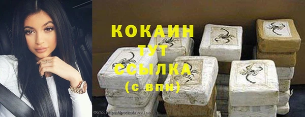 стаф Пересвет
