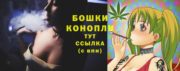 дмт Пестово