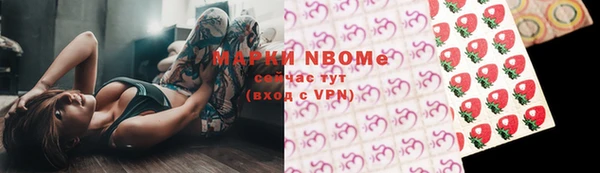 дмт Пестово
