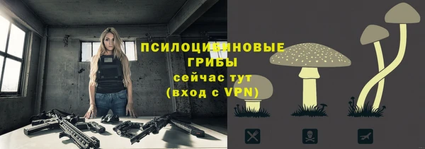 шишки Переславль-Залесский