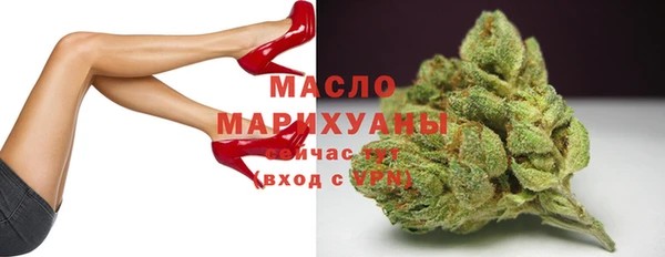 дмт Пестово