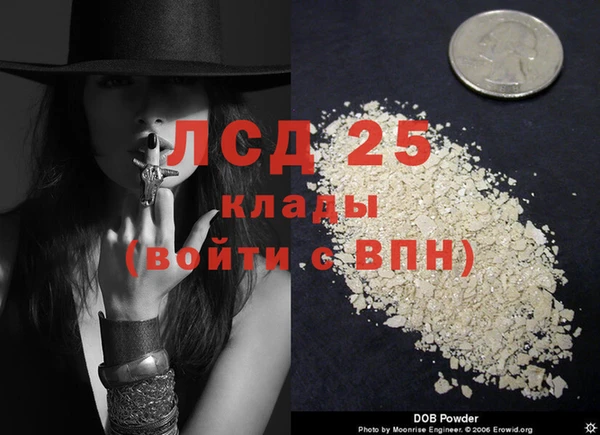 дмт Пестово