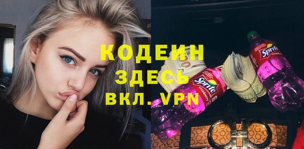 дмт Пестово