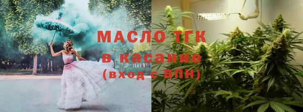 дмт Пестово