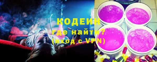 дмт Пестово