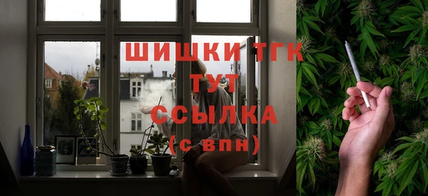 шишки Переславль-Залесский